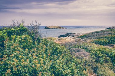 Seascape. Girit'e deniz gezisi