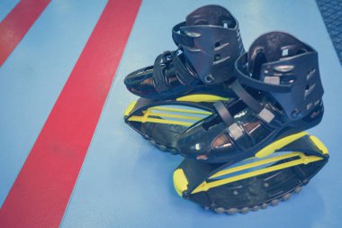 kangoo botları yakından atlar