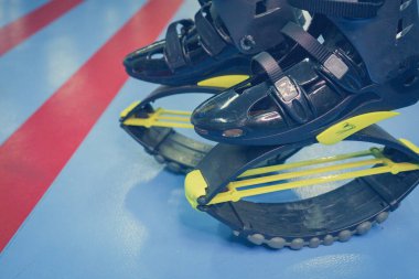 kangoo botları yakından atlar