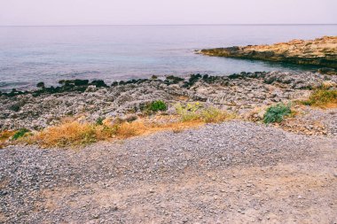 Seascape. Girit'e deniz gezisi