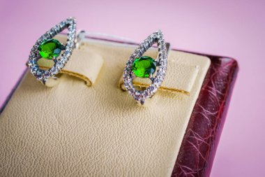 Taşlar Gümüş Küpe