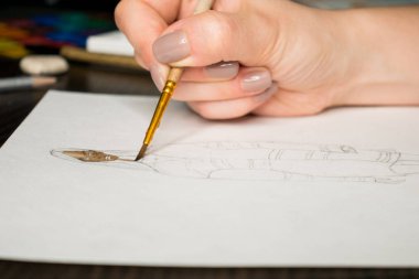 Araçlar Illustrator. Boyalar ve albüm