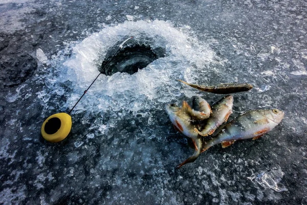 Pêche Sur Glace Sur Lac — Photo