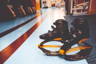 kangoo botları yakından atlar