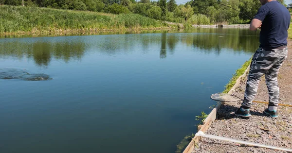 Pescatore cattura trota iridea dal lago — Foto Stock