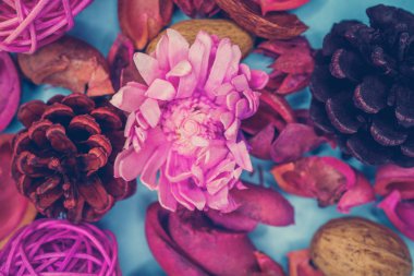 Dekoratif spa elemanları arka plan