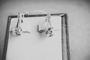 Taşlar Gümüş Küpe