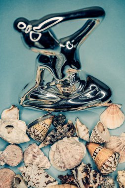 Arka plan mavi bir arka plan üzerinde deniz kabukları