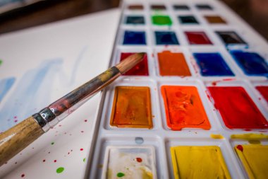 Araçlar Illustrator. Boyalar ve albüm