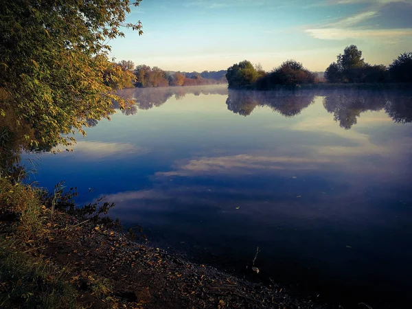 Vackra dammen — Stockfoto