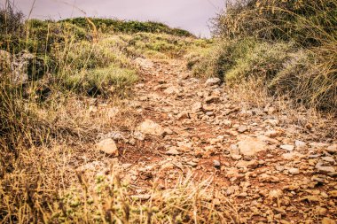 Seascape. Girit'e deniz gezisi