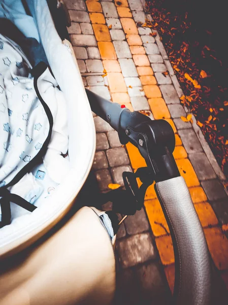 kenarına bir yolda bir bebek arabası