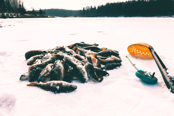 Pesca Invernale Dal Ghiaccio — Foto Stock