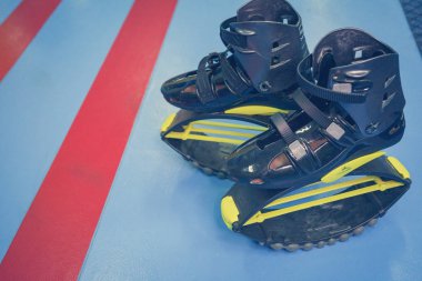 kangoo botları yakından atlar