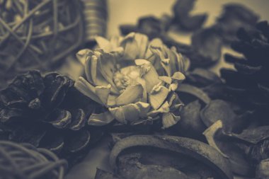 Dekoratif spa elemanları arka plan