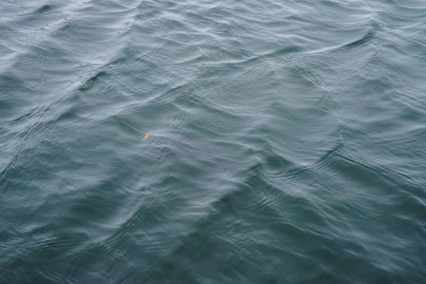 Pesca da truta no lago — Fotografia de Stock