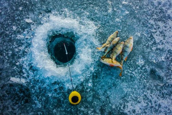 Ice fishing on the lake — стоковое фото