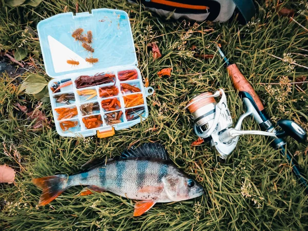 Concetto di pesca: pesce, canna da pesca, esca — Foto Stock