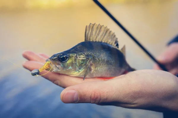 Fishing. Fisherman and fish — Stock Photo, Image