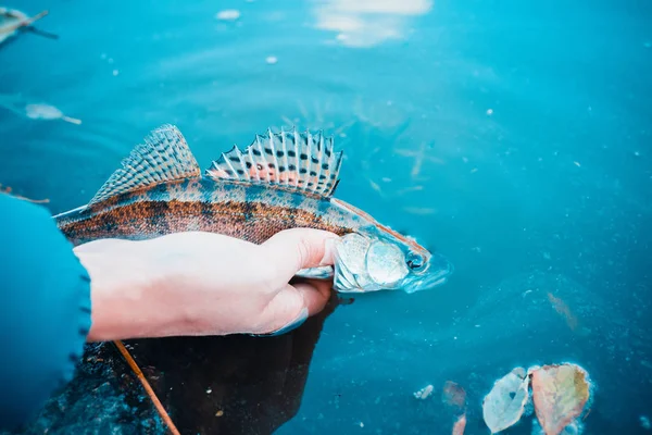 낚시입니다. 어 부와 물고기 — 스톡 사진