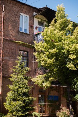 güzel şehir yeşil balkon