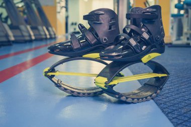 kangoo botları yakından atlar