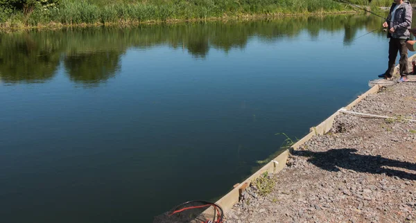 Pescatore cattura trota iridea dal lago — Foto Stock