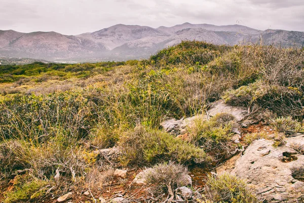 Paisaje marino. Viaje marítimo a Creta —  Fotos de Stock