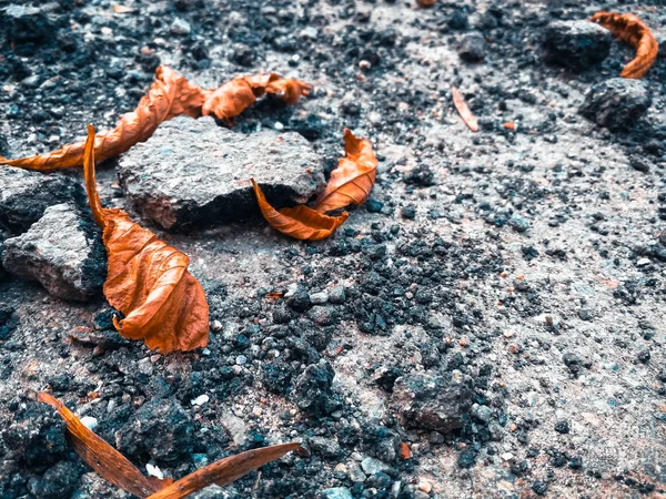 Зламаний асфальт з сухим листям — стокове фото