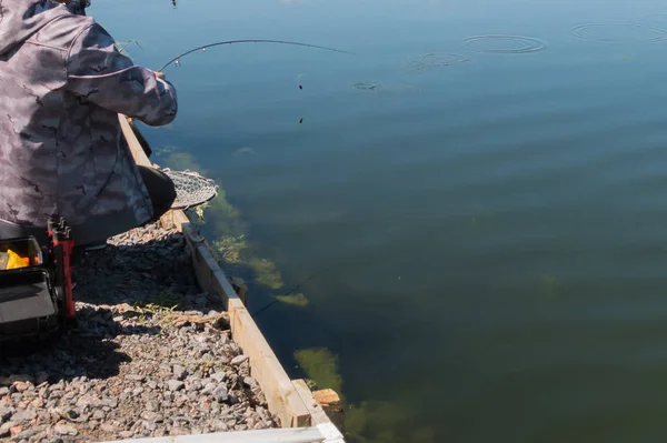 Pescatore cattura trota iridea dal lago — Foto Stock