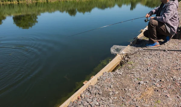 Pescatore cattura trota iridea dal lago — Foto Stock