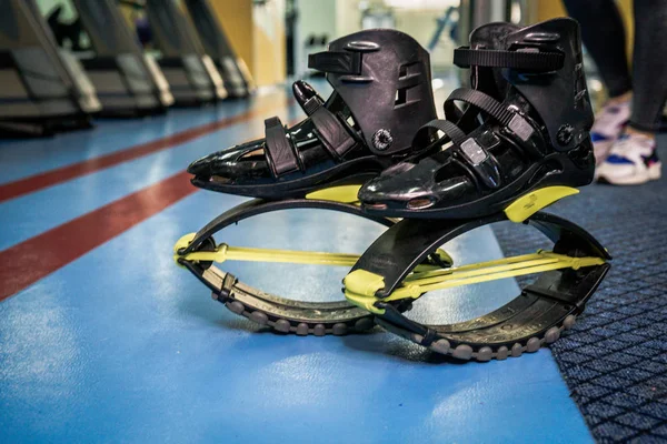 kangoo botları yakından atlar