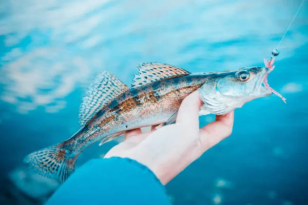 Pesca. Pescador y pescado — Foto de Stock