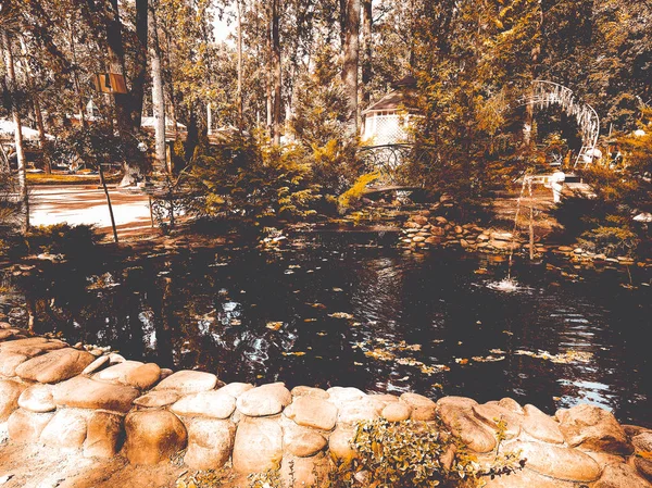 Dammen med en fontän — Stockfoto