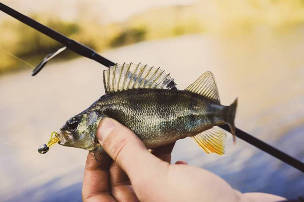 Fishing. Fisherman and fish — Stock Photo, Image