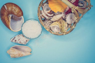 Kabukları ve deniz tuzu arka plan