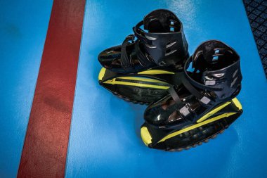kangoo botları yakından atlar