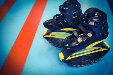 kangoo botları yakından atlar