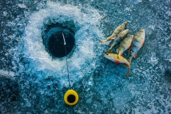 Ice fishing on the lake — Stock Photo, Image