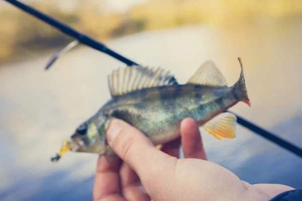 Pesca. Pescatore e pesce — Foto Stock