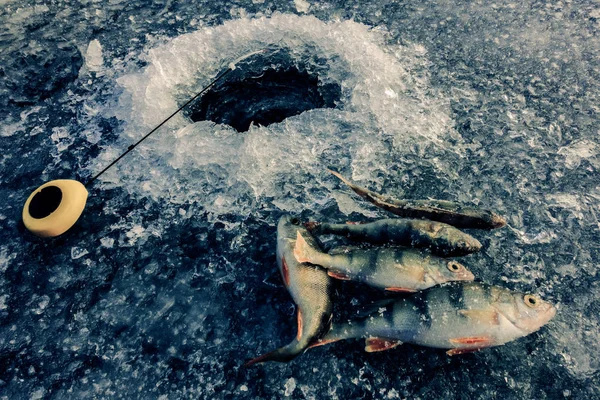 Αλιεία πάγου στη λίμνη — Φωτογραφία Αρχείου