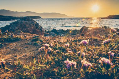 Seascape. Girit'e deniz gezisi