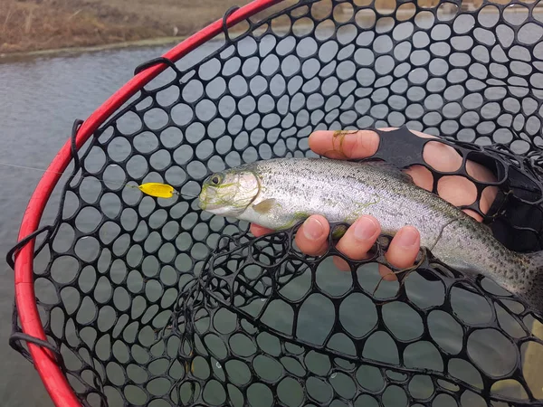 Antecedentes sobre um tema de pesca — Fotografia de Stock