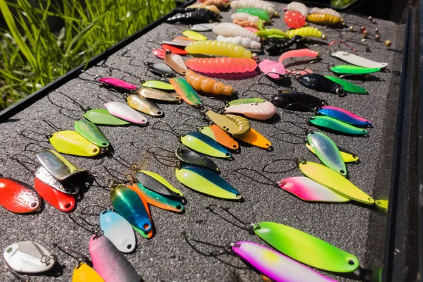 Pescador captura trucha arco iris del lago — Foto de Stock