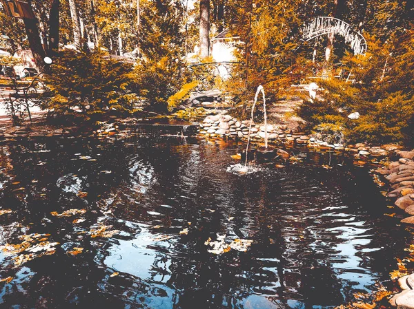 분수와 연못 — 스톡 사진