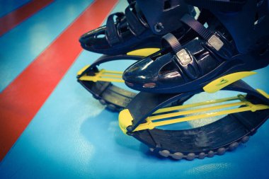 kangoo botları yakından atlar