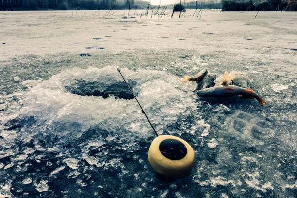 Zimowe Hobby Wędkarskie — Zdjęcie stockowe
