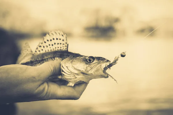 Rybaření. Rybář a ryby — Stock fotografie