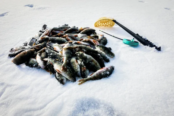 Winter Vissen Uit Ijs — Stockfoto