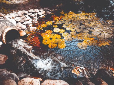 eski bir vazodan şelale